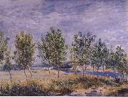 Claude Monet Poplars on a River Bank china oil painting reproduction